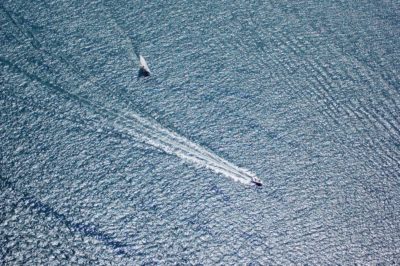 Vue aérienne d'un vaste océan ondulant avec deux bateaux créant des traînées de sillage blanc. Capture réalisée avec le style caractéristique du photographe Thomas Duclert, un bateau est plus proche au premier plan, se dirigeant vers le haut à droite, tandis que l'autre est plus loin, naviguant vers le haut à gauche.