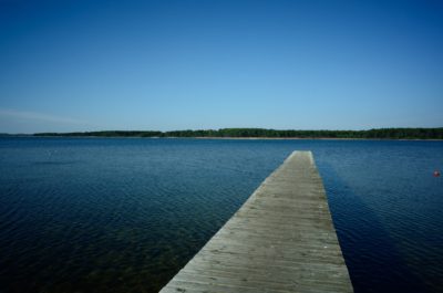 Une longue jetée en bois s'étend sur une eau claire et calme vers un rivage lointain bordé d'arbres sous un ciel bleu clair - une scène qui pourrait facilement inspirer un photographe parisien en quête d'une beauté tranquille pour sa prochaine séance photo.