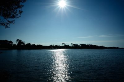 Un soleil éclatant brille sur une étendue d'eau calme, créant un reflet scintillant à la surface. Des silhouettes d'arbres bordent l'horizon et le ciel est clair avec une teinte bleu profond. De petites taches de branches d'arbres encadrent le coin supérieur gauche de cette image captivante du photographe Thomas Duclert.