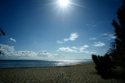 Une scène de plage sereine sous un ciel clair et lumineux avec le soleil qui brille au-dessus. De douces vagues sont visibles au loin et le rivage sablonneux s'étend au premier plan. Photographié par Thomas Duclert, quelques arbres encadrent l'image à droite et à gauche.